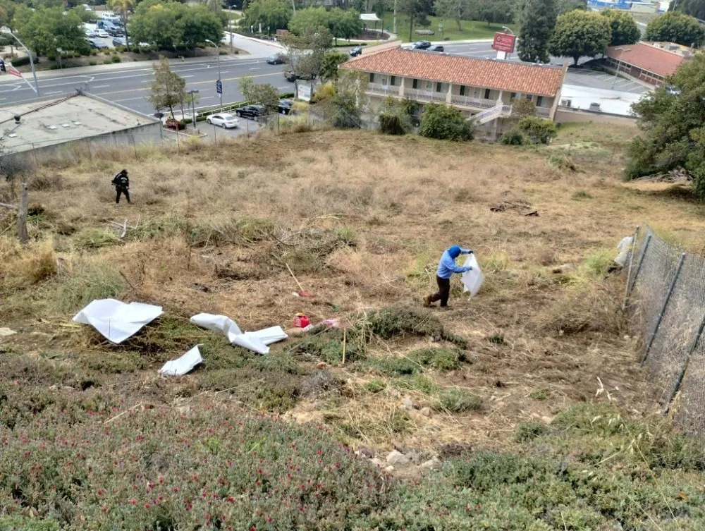 Professional landscaping services in Vista, CA by New Foundation Landscape