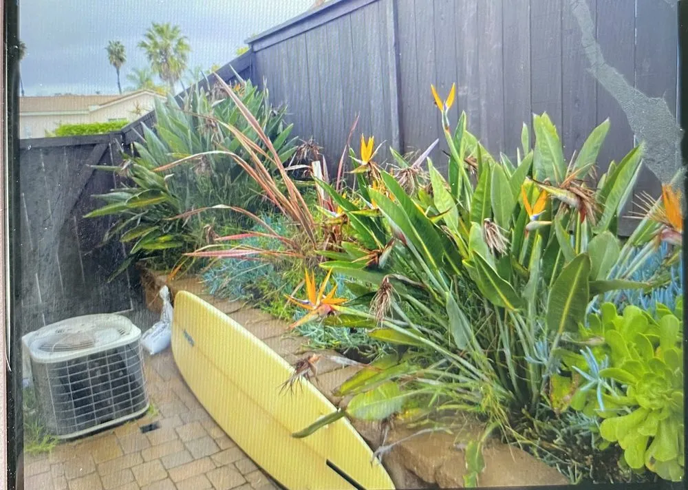 Local outdoor landscaping for homes across Vista, CA - New Foundation Landscape