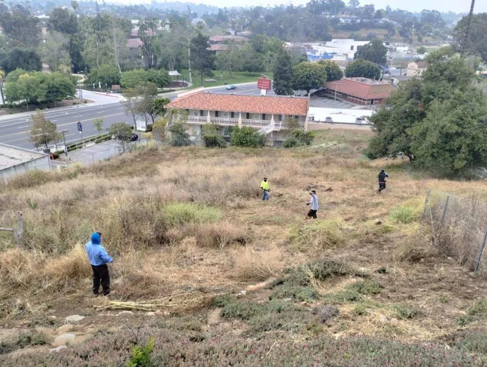 Expert yard cleanup service in Vista, CA by New Foundation Landscape