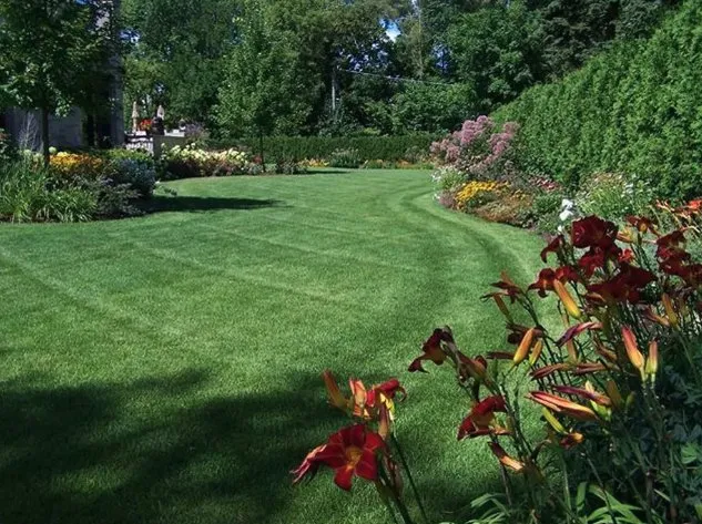Reliable landscape installation in Colorado Springs, CO - New Frontier Landscaping