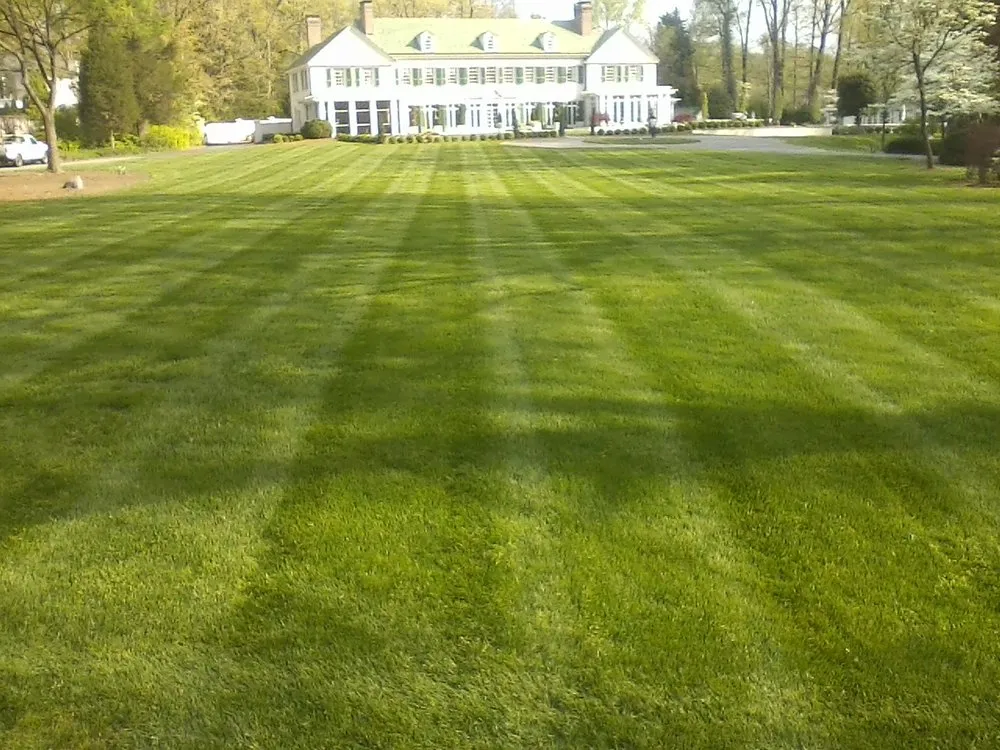Trusted lawn mowing service for residential properties across Greensboro, NC - New Garden Landscaping & Nursery