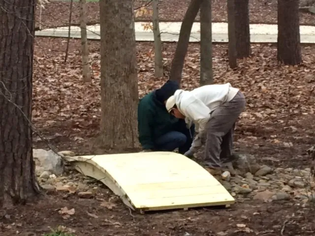 Top-rated lawn care service experts serving Greensboro, NC - New Garden Landscaping & Nursery