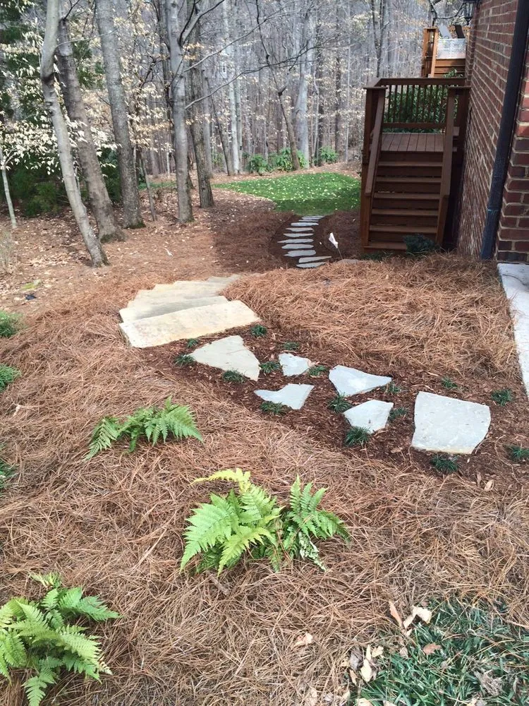 Expert yard cleanup service in Greensboro, NC - New Garden Landscaping & Nursery