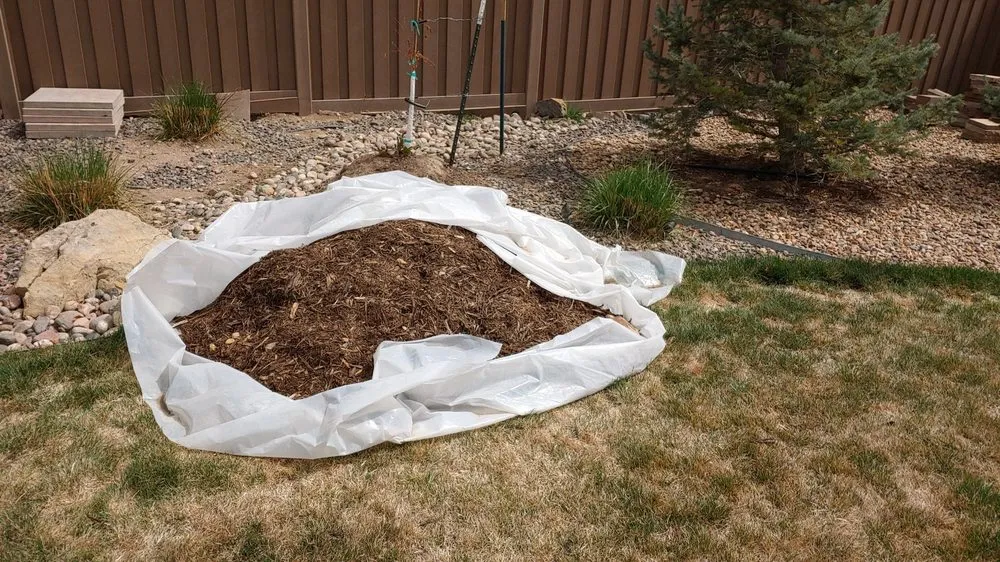 Local yard cleanup service with custom design in Littleton, CO by New Gen Landscape