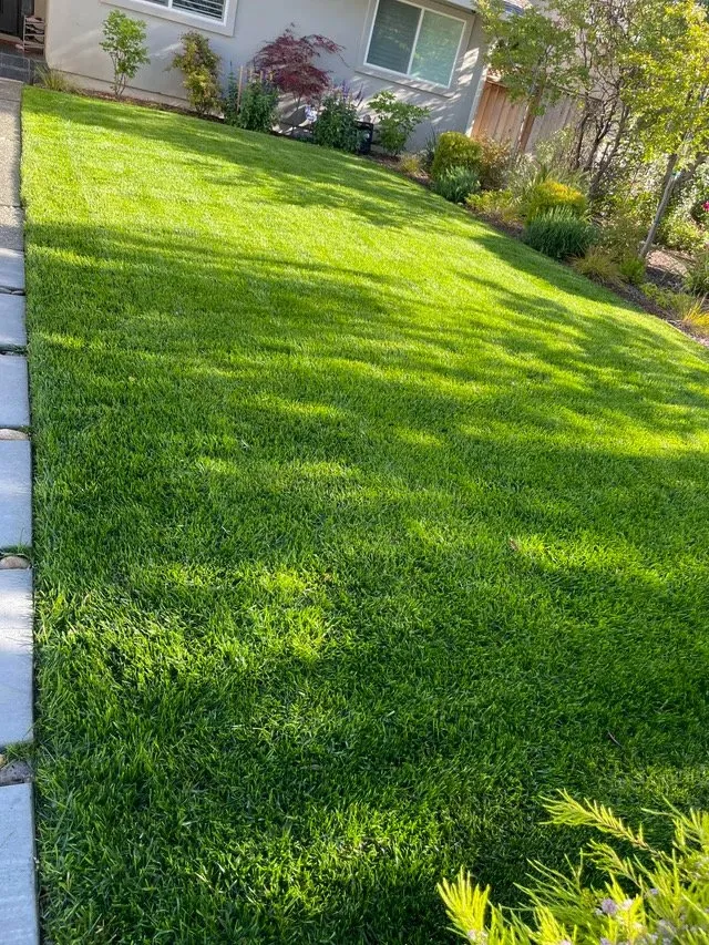 Reliable residential landscaping for beautiful yards in Monroeville, OH by New Gen Landscaping