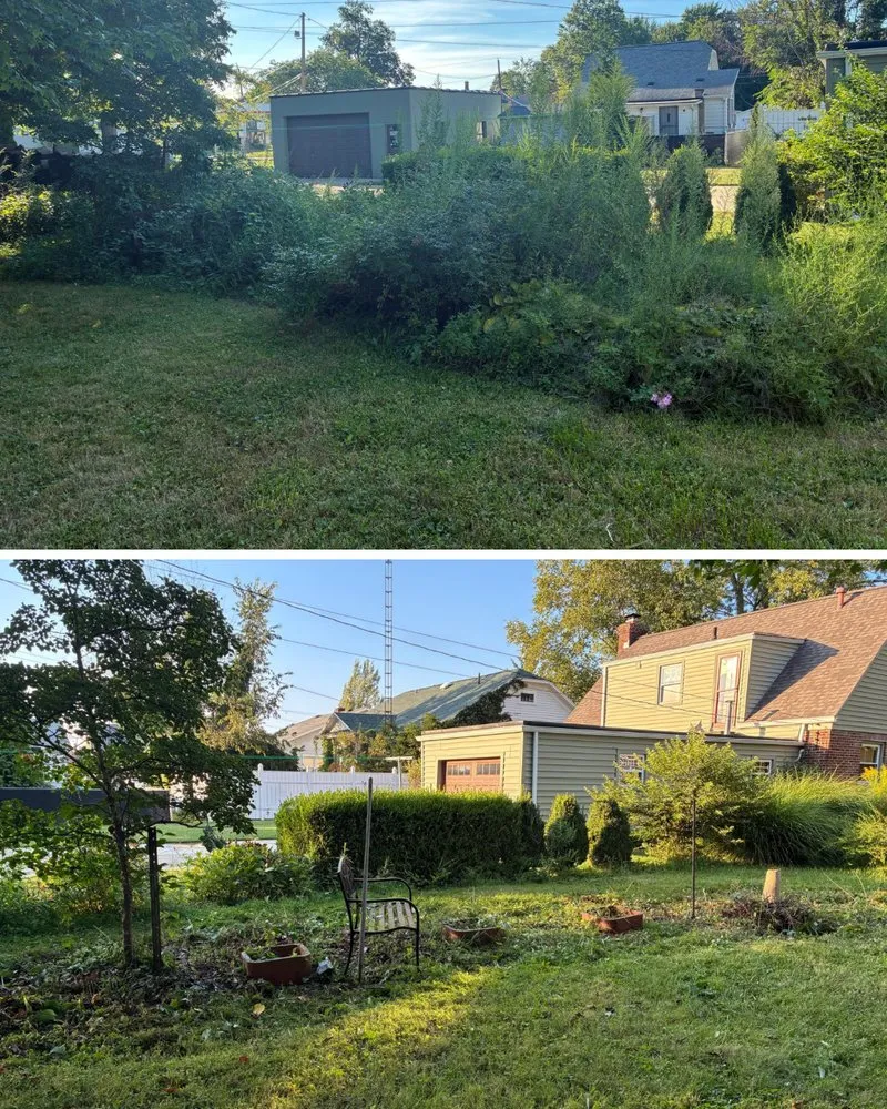 Custom lawn care service in Monroeville, OH - New Gen Landscaping