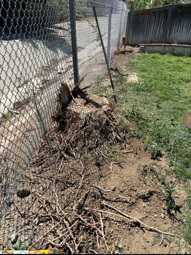 Custom outdoor landscaping for residential properties across Riverside, CA - New Gen Landscaping