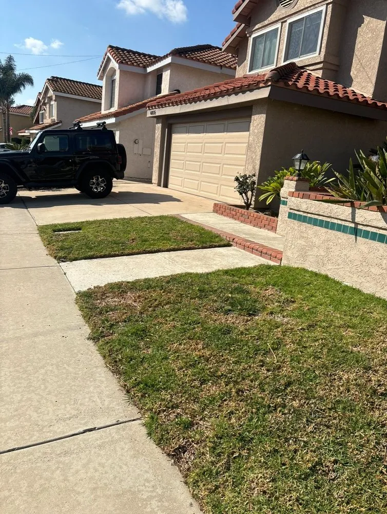 Custom landscape installation in Riverside, CA by New Gen Landscaping