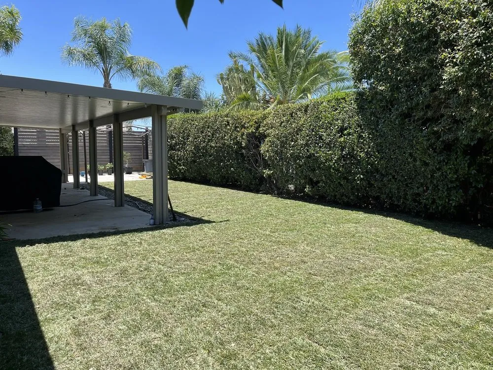 Professional outdoor landscaping in Riverside, CA by New Generation Landscape & Sprinklers