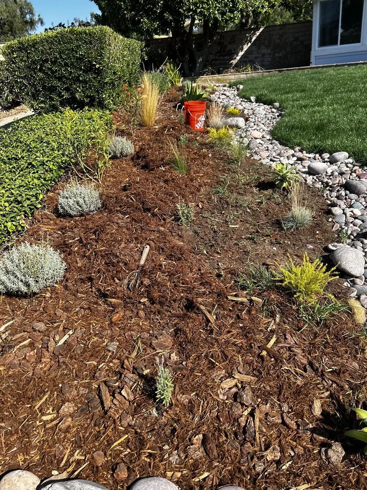 Top-rated lawn care service in Riverside, CA - New Generation Landscape & Sprinklers