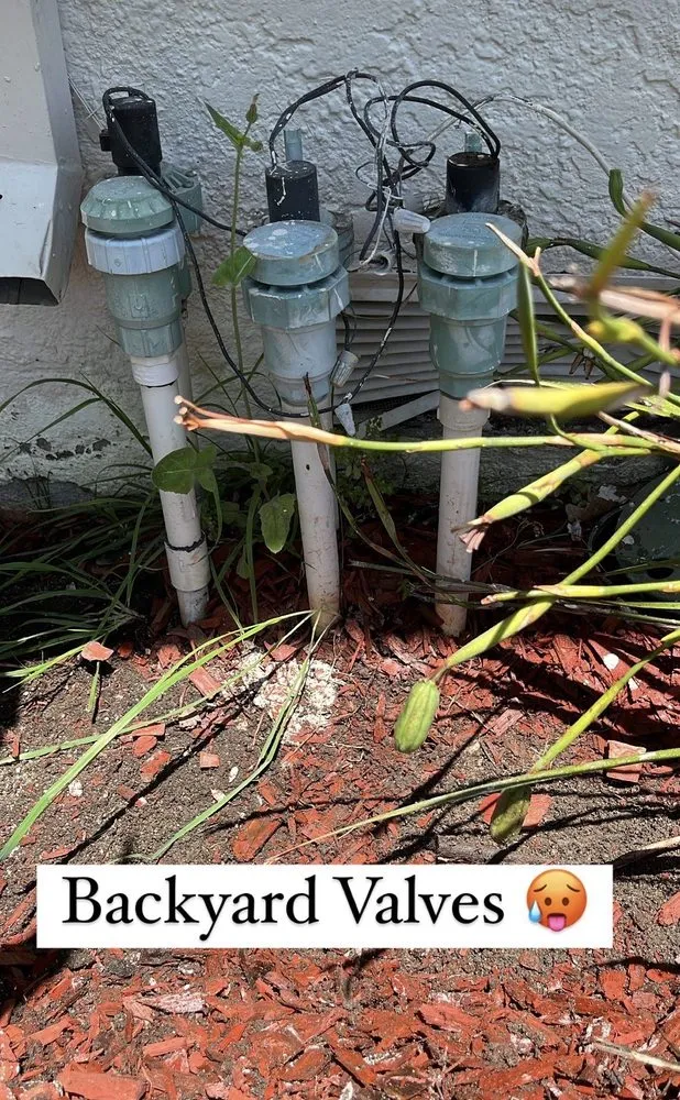 Custom yard maintenance in Riverside, CA by New Generation Landscape & Sprinklers