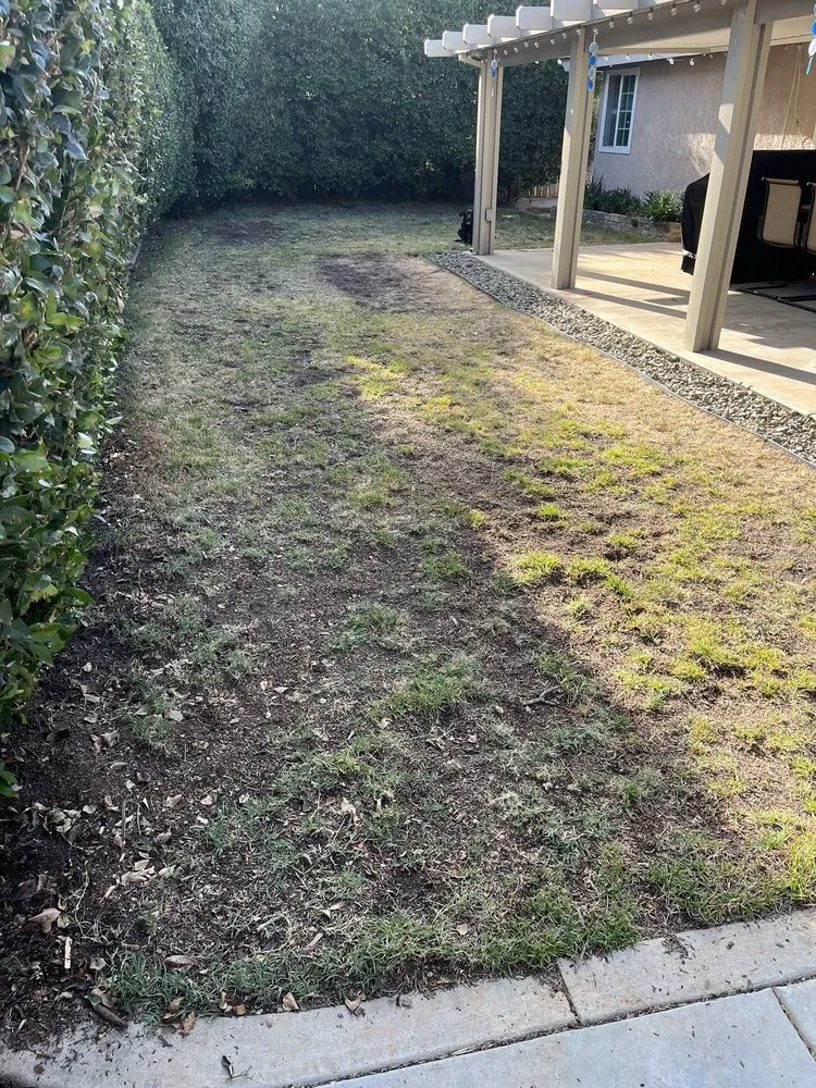 Professional yard cleanup service for beautiful yards across Riverside, CA - New Generation Landscape & Sprinklers