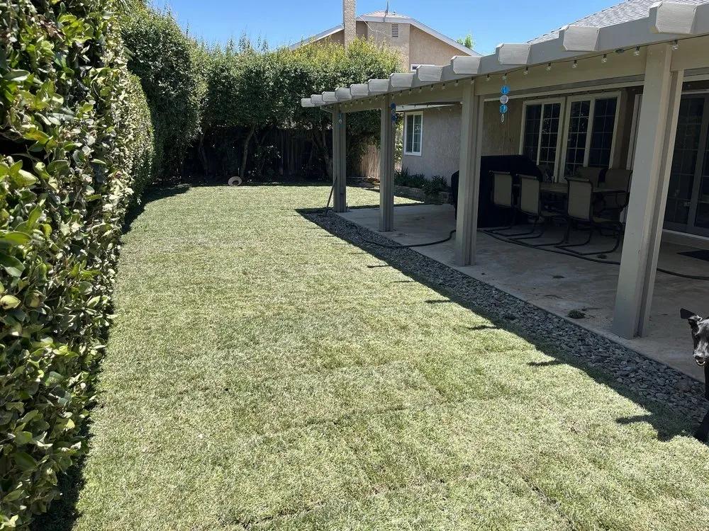 Custom yard maintenance in Riverside, CA by New Generation Landscape & Sprinklers