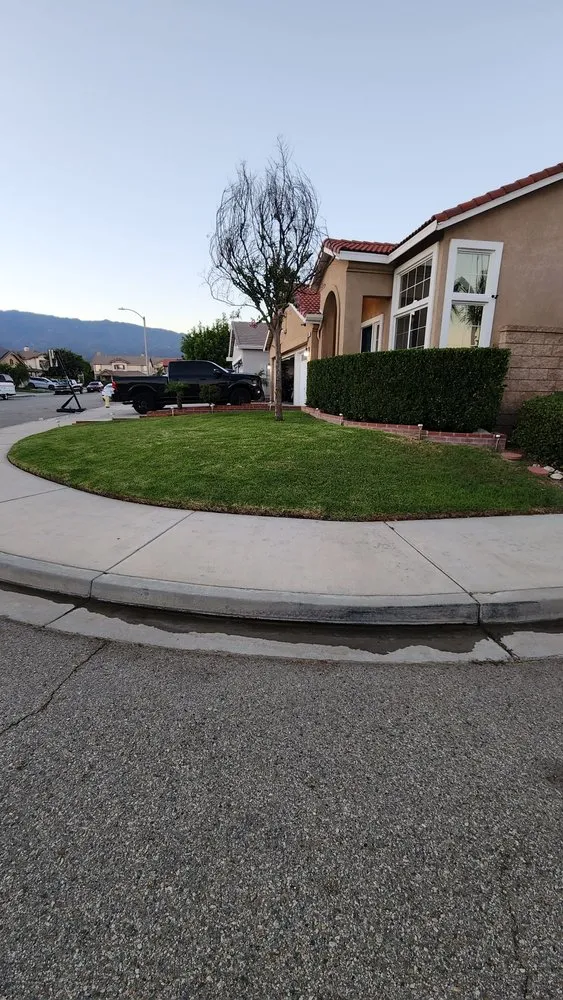 Affordable residential landscaping for outdoor upgrades in Riverside, CA by New Generation Landscape & Sprinklers