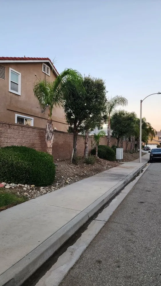 Affordable yard maintenance for beautiful yards in Riverside, CA by New Generation Landscape & Sprinklers