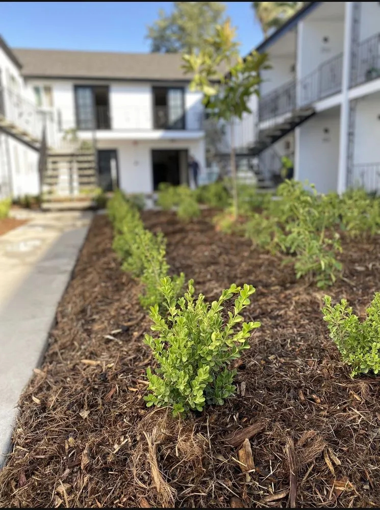 Reliable lawn care service experts serving San Bernardino, CA - New Generation Landscape Management