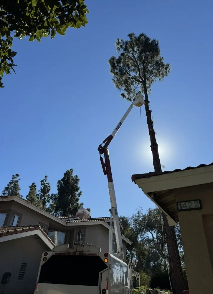 Affordable lawn mowing service for beautiful yards across San Bernardino, CA - New Generation Landscape Management