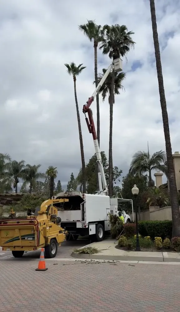 Expert landscape installation for outdoor upgrades in San Bernardino, CA by New Generation Landscape Management