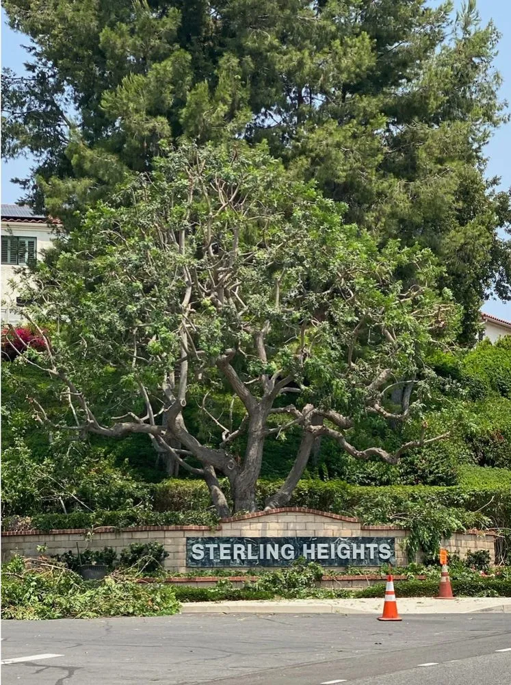 Custom garden landscaping experts serving San Bernardino, CA - New Generation Landscape Management