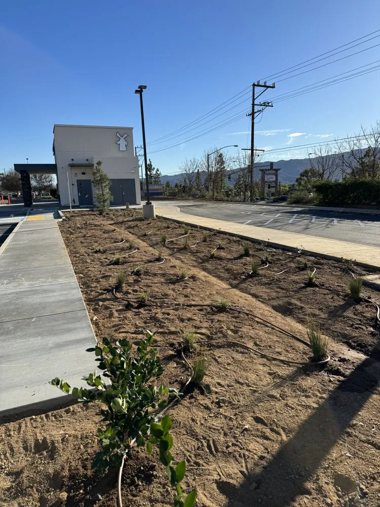 Top-rated landscape design for outdoor upgrades across San Bernardino, CA - New Generation Landscape Management