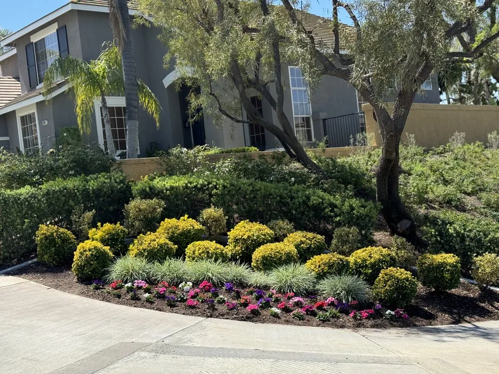 Expert lawn mowing service in San Bernardino, CA by New Generation Landscape Management