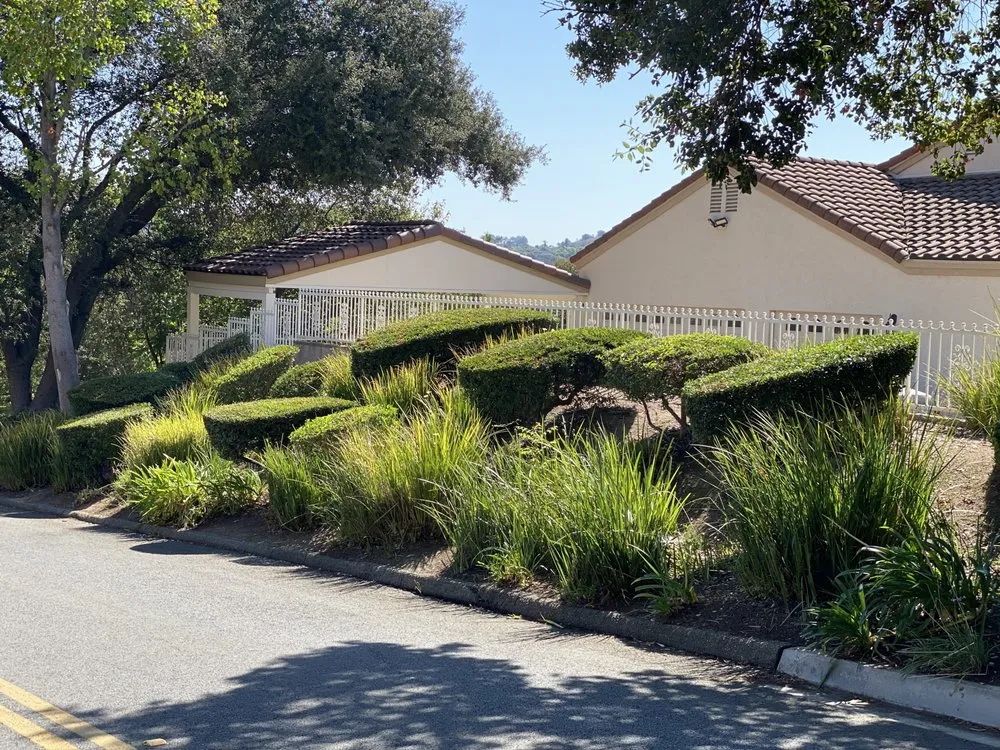 Custom residential landscaping near you in San Bernardino, CA by New Generation Landscape Management