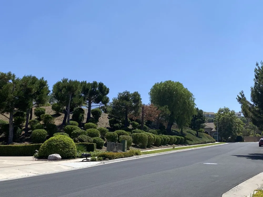 Top-rated lawn mowing service in San Bernardino, CA - New Generation Landscape Management