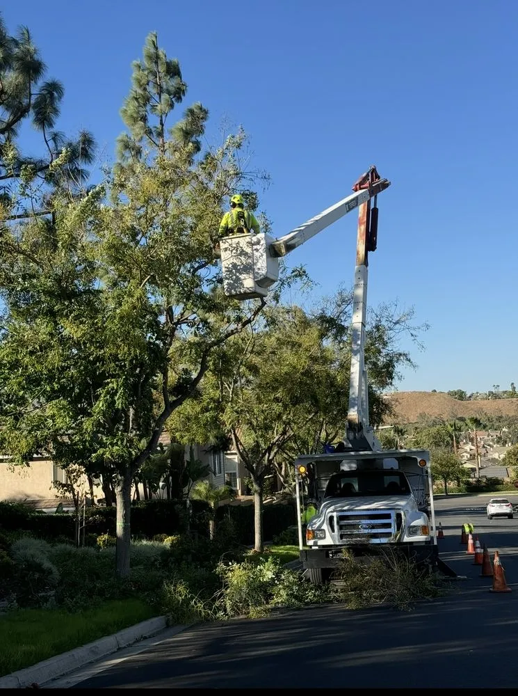 Professional garden landscaping in San Bernardino, CA - New Generation Landscape Management