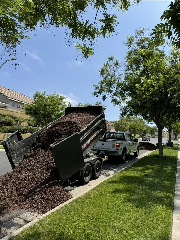 Local outdoor landscaping experts serving San Bernardino, CA - New Generation Landscape Management