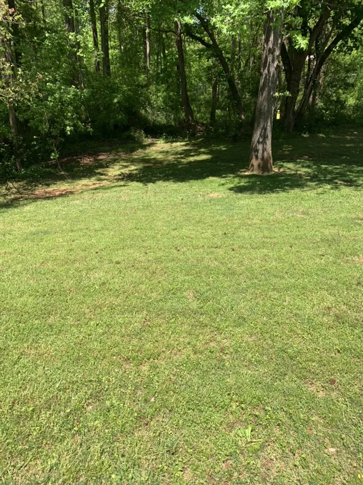 Top-rated landscape design with custom design across Conley, GA - New Generation Landscape Service