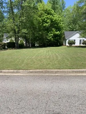 New Generation Landscape Service