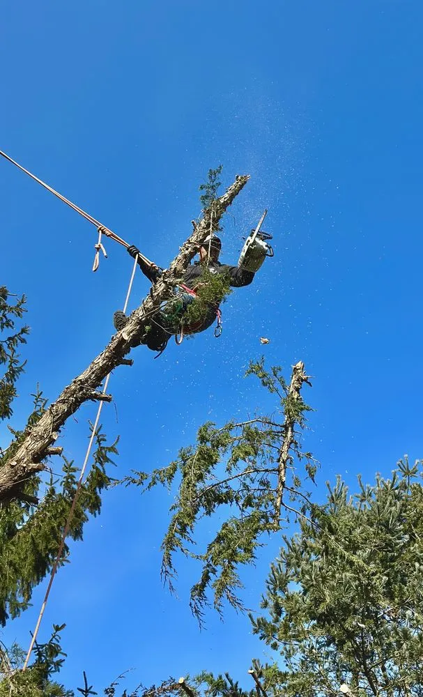 Trusted landscape design in East Hampton, NY by New Generation Landscapes