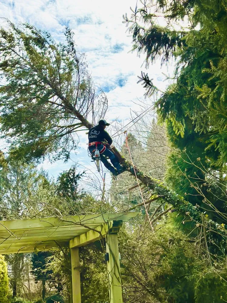 Affordable residential landscaping in East Hampton, NY by New Generation Landscapes