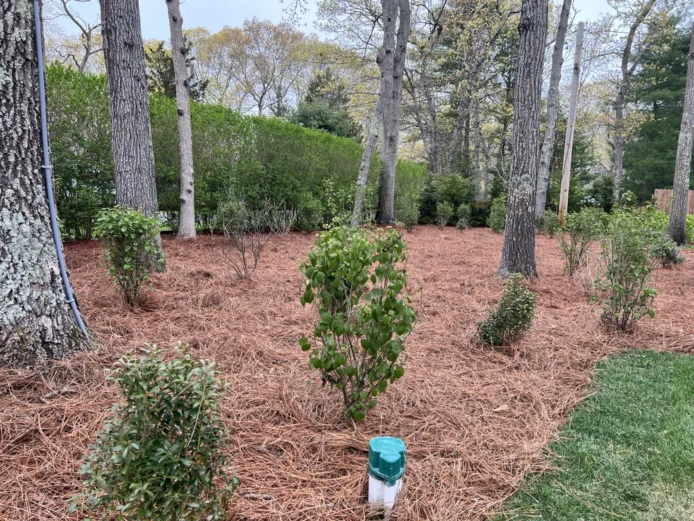 Affordable residential landscaping experts serving East Hampton, NY - New Generation Landscapes