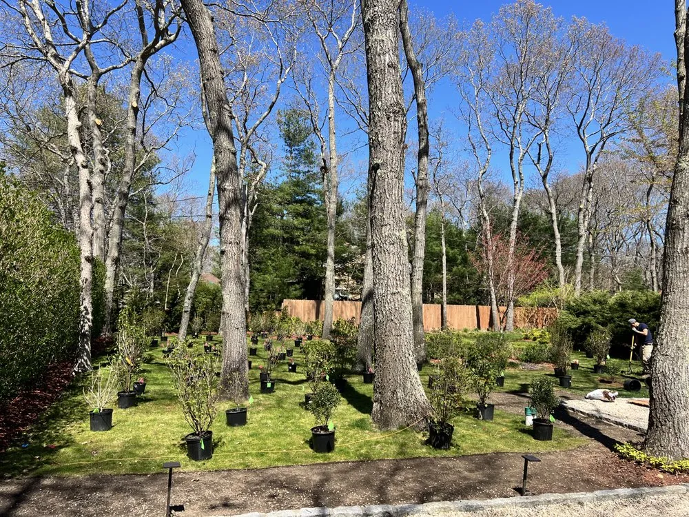 Local yard cleanup service in East Hampton, NY by New Generation Landscapes