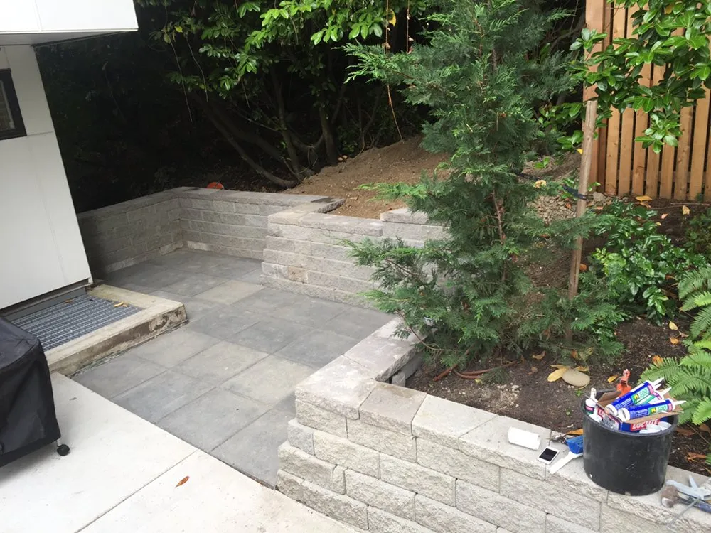 Professional lawn care service in Bellevue, WA - new generation landscaping and maintenance