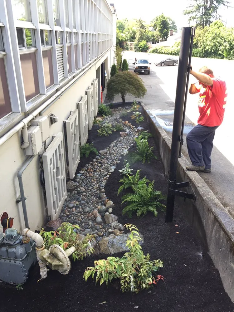 Top-rated yard maintenance in Bellevue, WA - new generation landscaping and maintenance