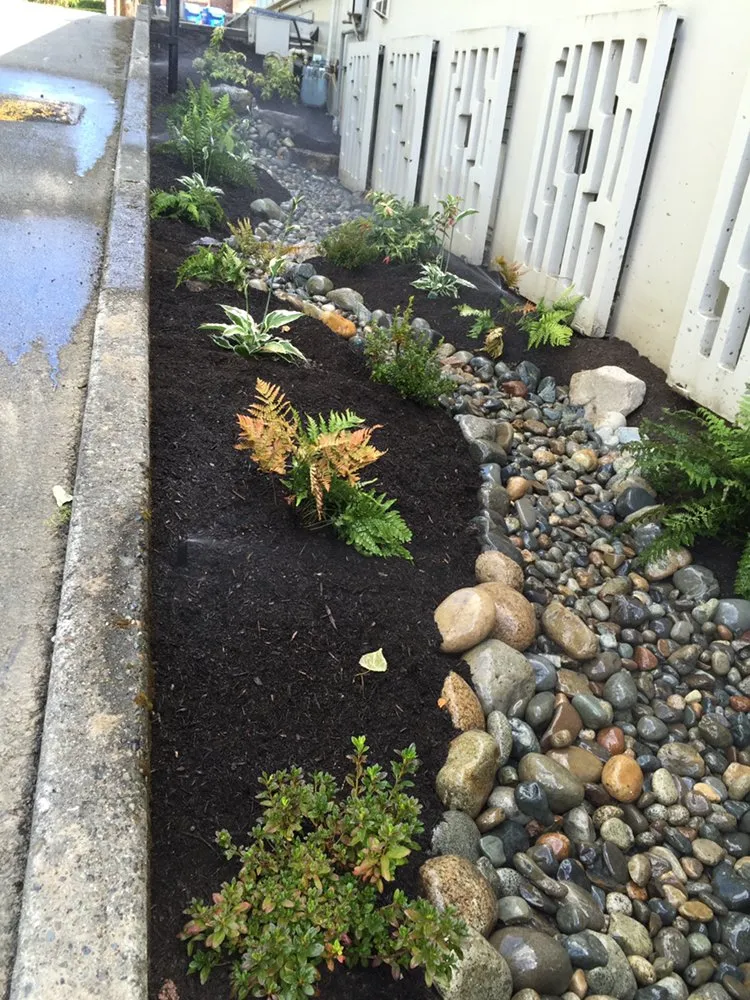 Professional lawn care service with custom design in Bellevue, WA by new generation landscaping and maintenance