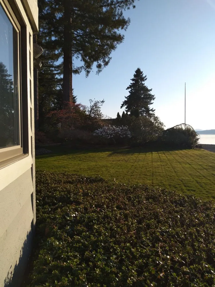 Custom yard cleanup service in Port Orchard, WA - New Generation landscaping Services