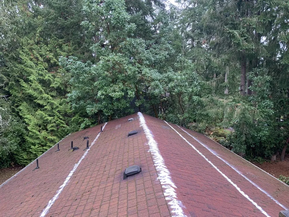 Custom residential landscaping in Bremerton, WA - New Generation Lawn Care