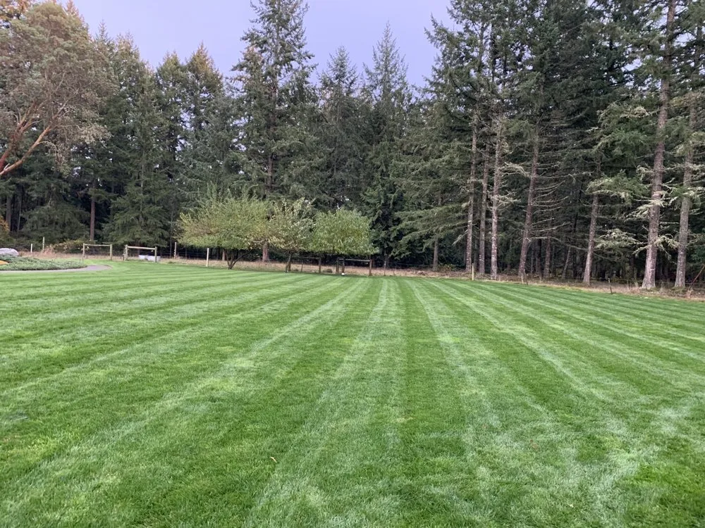 Trusted landscaping services for beautiful yards across Bremerton, WA - New Generation Lawn Care
