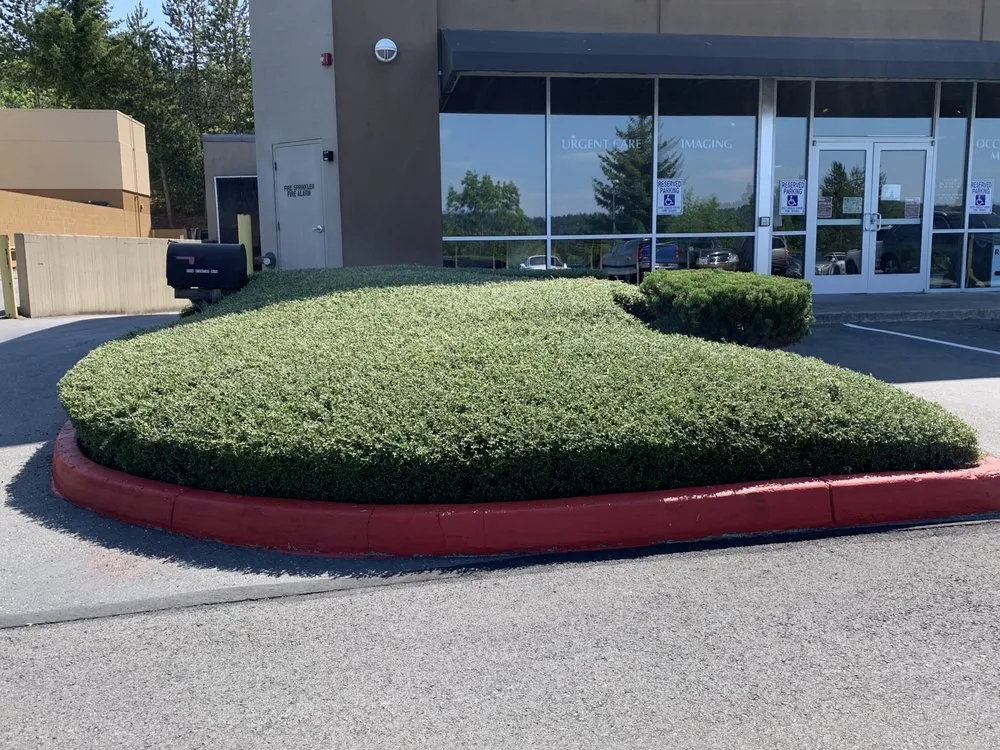 Top-rated landscape installation for year-round maintenance in Bremerton, WA by New Generation Lawn Care