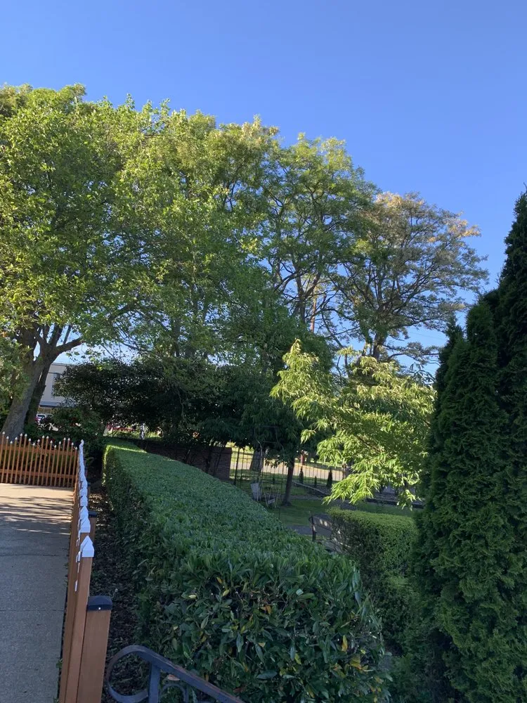 Reliable lawn care service near you in Bremerton, WA by New Generation Lawn Care