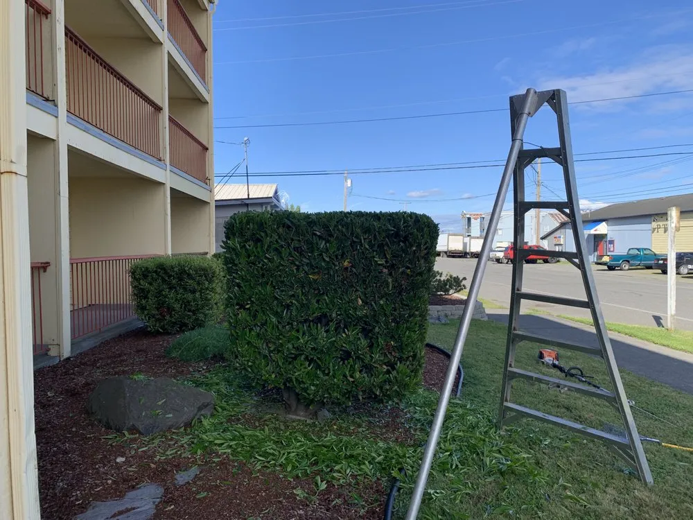 Expert lawn mowing service for beautiful yards across Bremerton, WA - New Generation Lawn Care