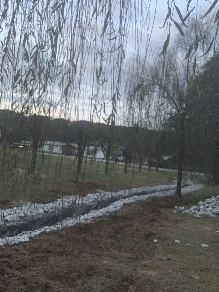 Local landscaping services experts serving Niota, TN - New Generation Lawn Service