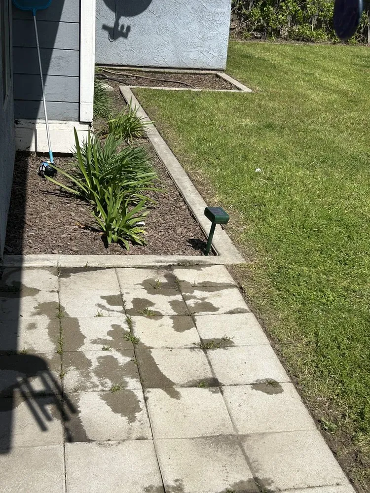 Custom lawn mowing service for year-round maintenance across Woodlake, CA - New Generation Lawn Services