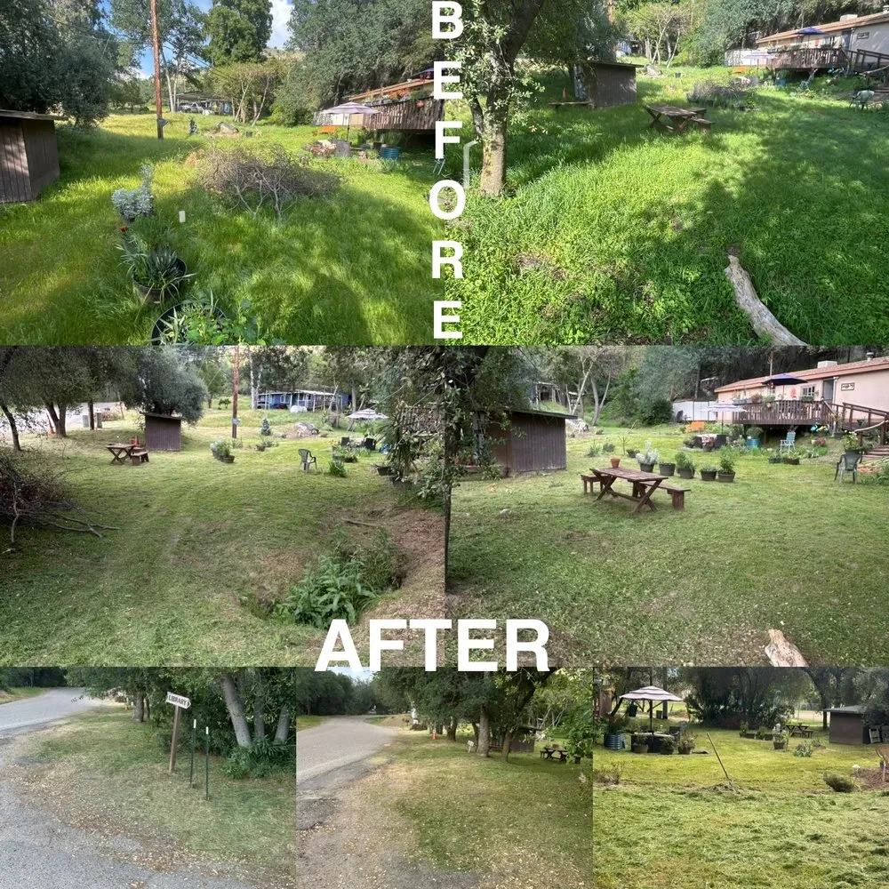 Trusted yard maintenance for residential properties across Woodlake, CA - New Generation Lawn Services
