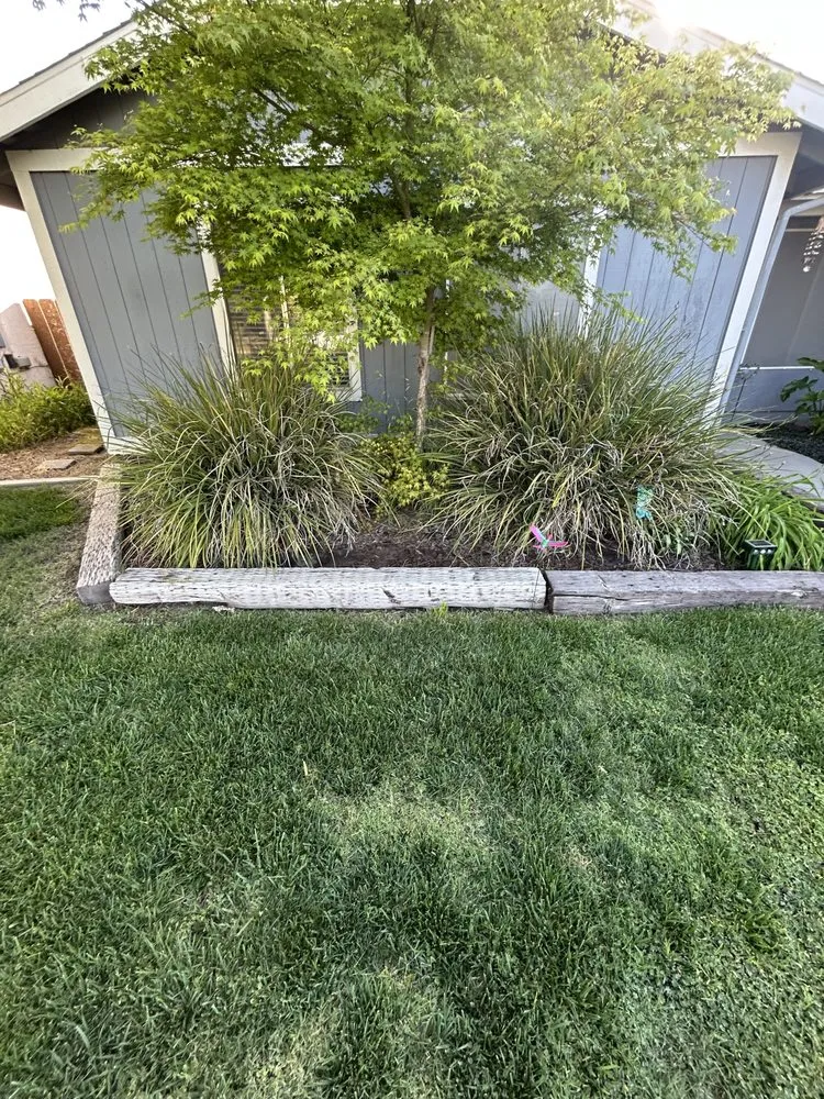 Expert residential landscaping experts serving Woodlake, CA - New Generation Lawn Services