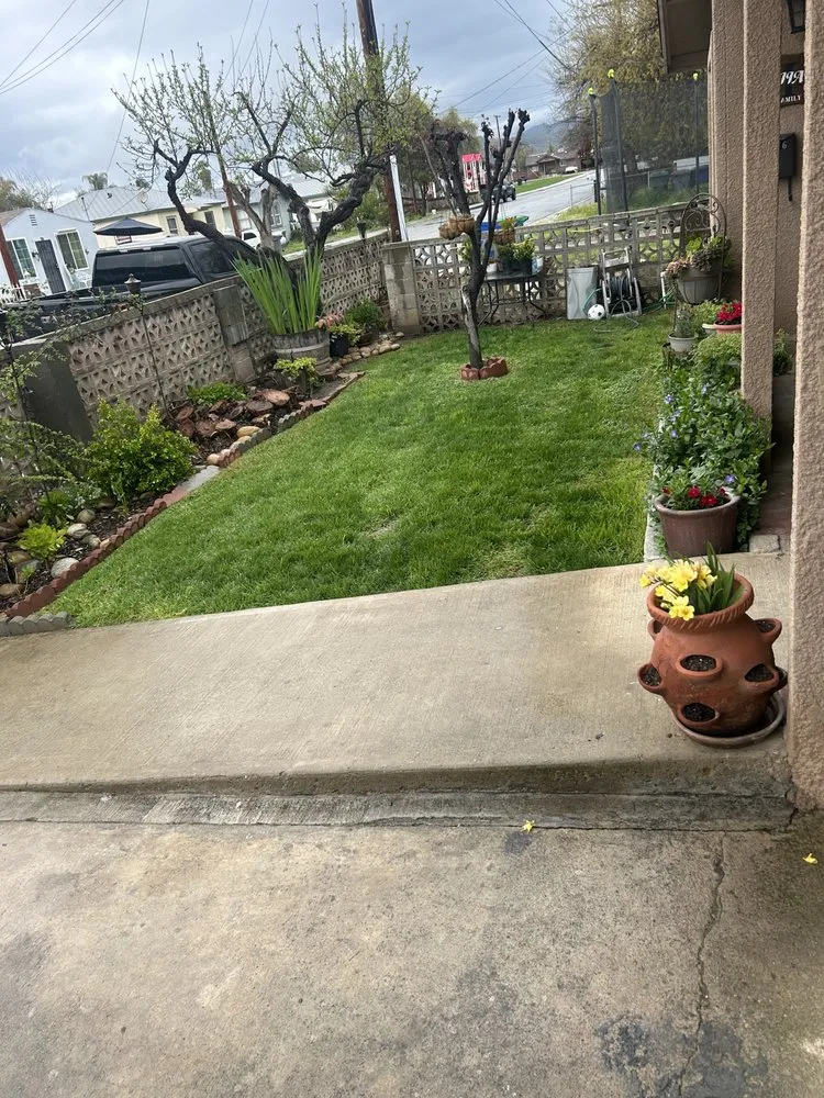 Expert garden landscaping with custom design in Woodlake, CA by New Generation Lawn Services