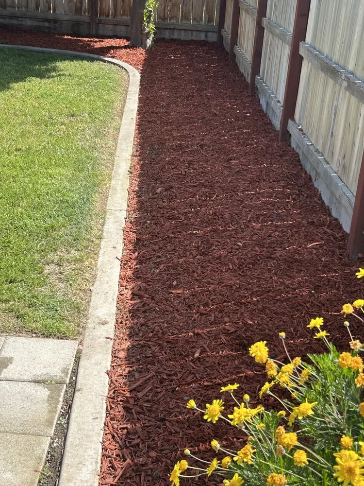 Affordable landscaping services in Woodlake, CA by New Generation Lawn Services